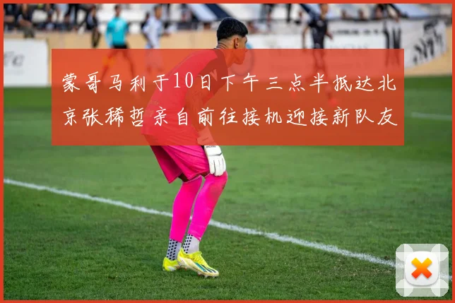 蒙哥马利于10日下午三点半抵达北京张稀哲亲自前往接机迎接新队友