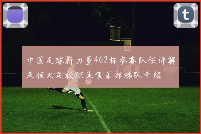 中国足球新力量462杯参赛队伍详解及恒大足校职业俱乐部梯队介绍