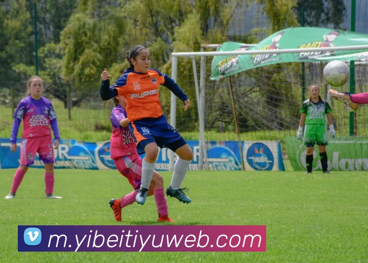 易倍体育发展历程